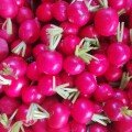 Củ Cải Đỏ