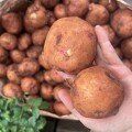 Khoai Tây Hồng