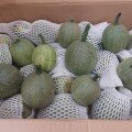 Bí Mì Sợi