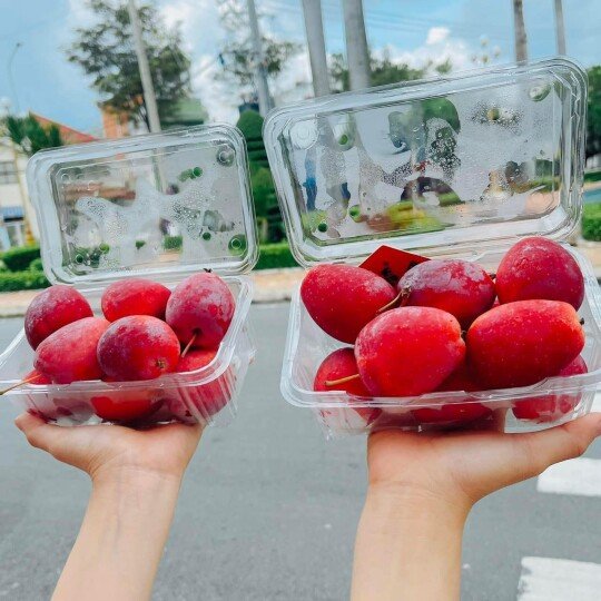 Táo Cherry