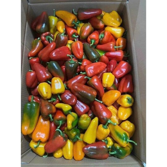 Ớt Snack Đà Lạt